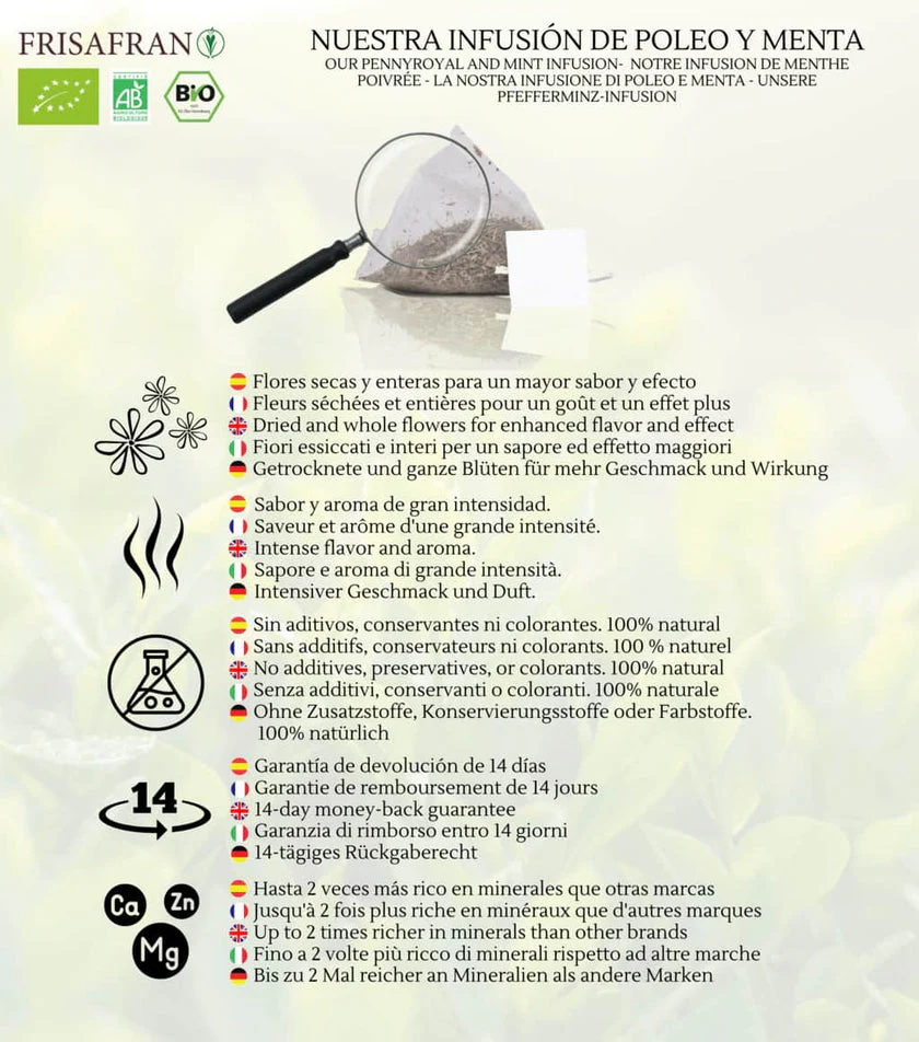 Infusión De Poleo Menta En Pirámides Ecológica | Frisafran 30 Uds - Imagen 5