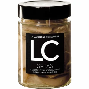 Setas Al Natural – La Catedral De Navarra