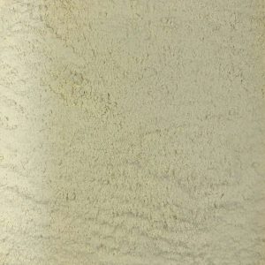 Ajo En Polvo Ecológico Granel 5 Kg