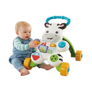 ANDADOR CEBRA PARLANCHINA PRIMEROS PASOS